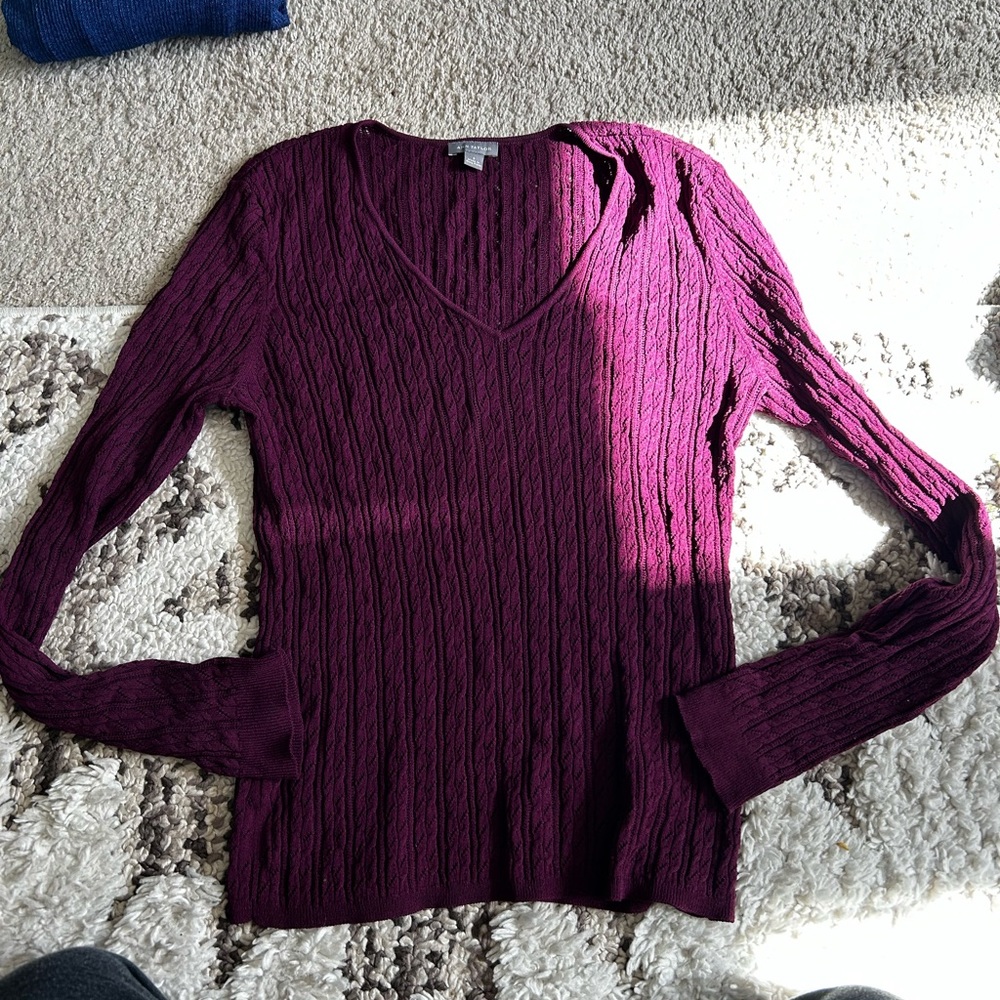 Ann Taylor V-neck Sweater